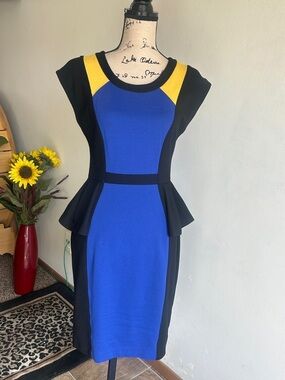 Yoana Baraschi Colorblock Sheath Dress Size Medium